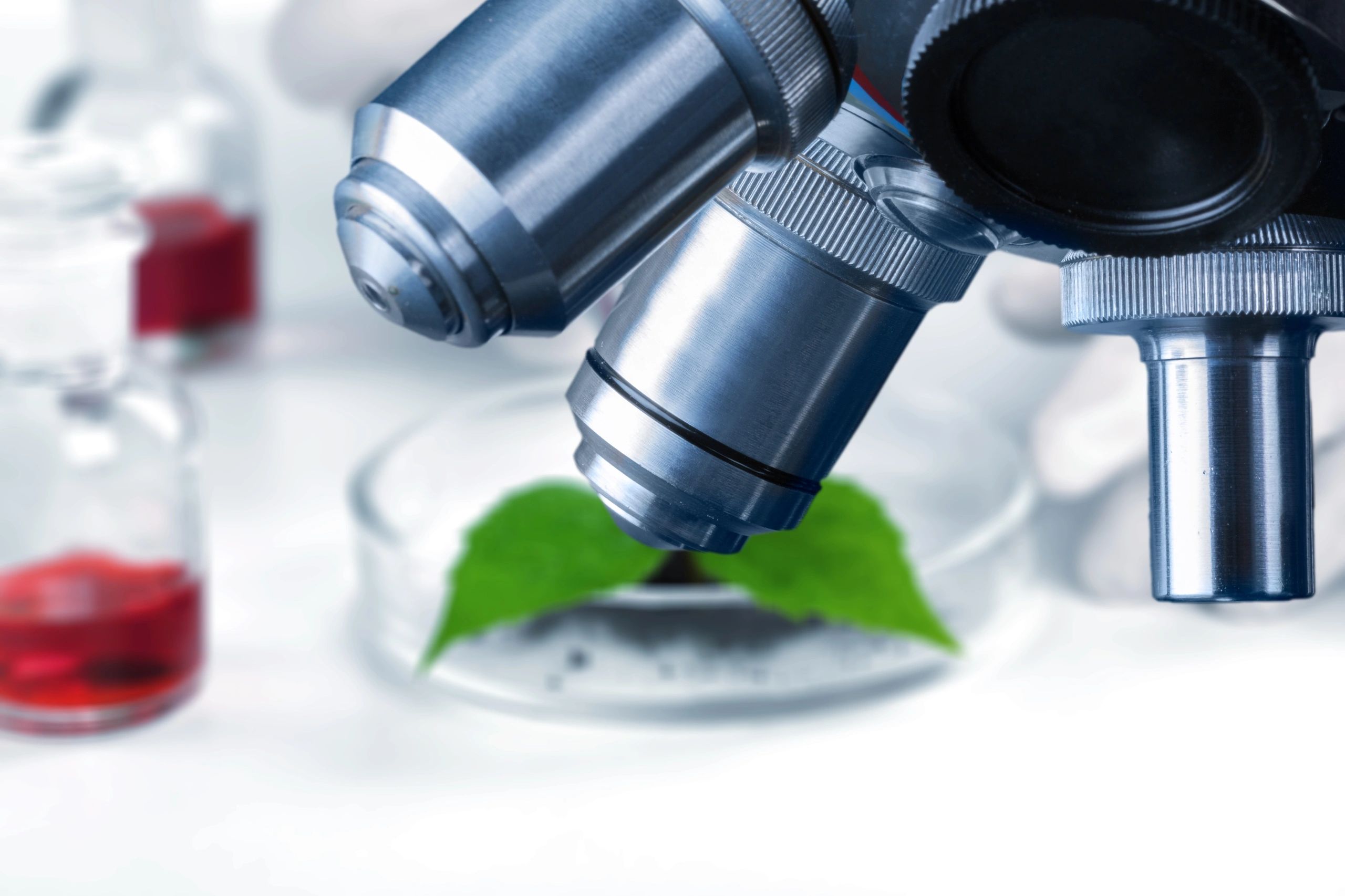 Laboratory scientist reviewing diagnostic samples